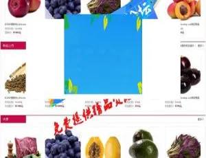 沱沱工社生鲜商城ECSHOP模板 果蔬团购系统 多端适配UTF/GBK