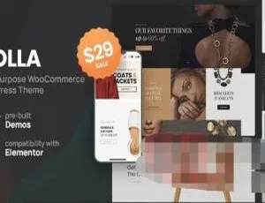 Molla电商主题：WooCommerce WordPress多功能商城模板-蓝海网