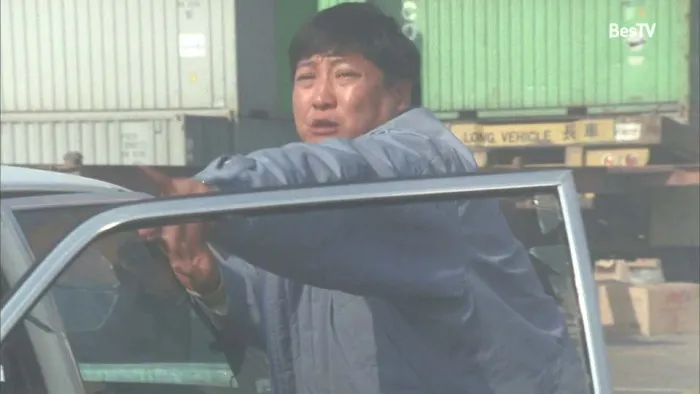 洪金宝动作犯罪片
