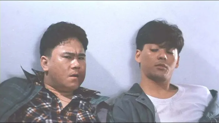 苗侨伟莫少聪