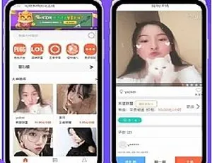 PHP游戏陪玩平台 在线约玩系统 手机自适应版-蓝海网