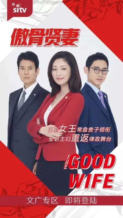 傲骨贤妻日剧版