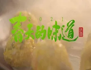 味道2021春季美食之旅 全4集高清版少儿英语启蒙：我的小马驹My Little Pony第六季全11集 英语英字 高清1080P