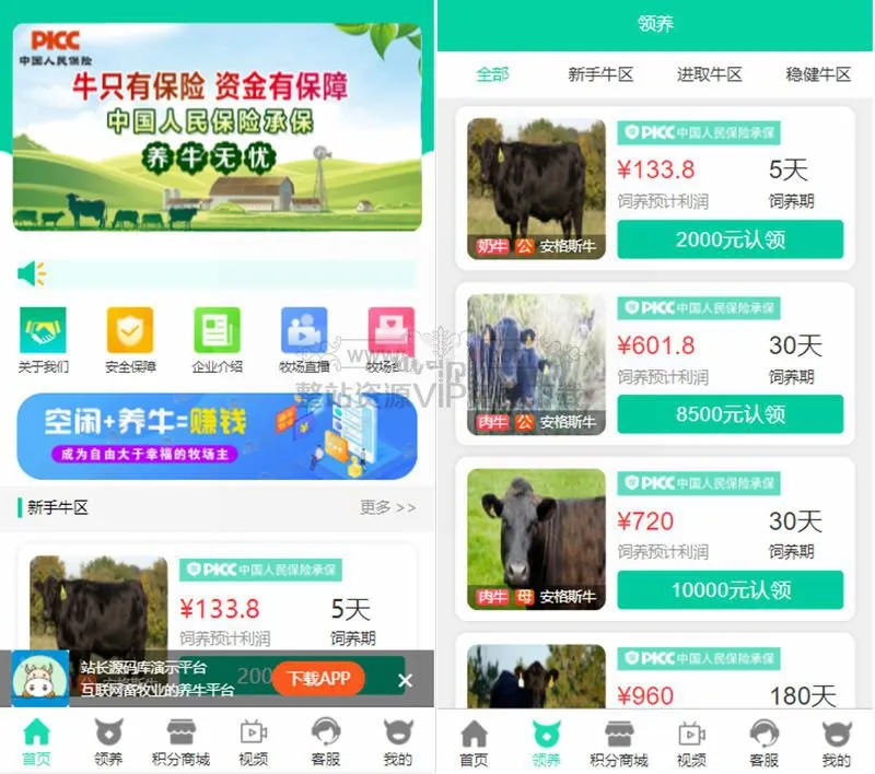 会员特权体系