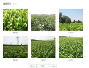 腾和苗木网站管理系统v1.12 高效建站工具 免费升级 专业园林企业解决方案
