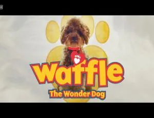 Waffle the Wonder Dog 神奇狗狗 全四季60集 英语动画 英文字幕黑狗拆屋王 Salvage Dawgs 第11季全13集 1080P高清 英语中字珍藏版