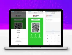 微信支付宝QQ三合一支付码工具-蓝海网