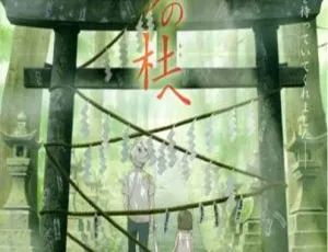 萤火之森 蛍火の杜へ 2011年日本奇幻爱情动画 高分治愈经典-蓝海网