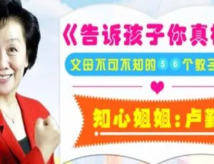 卢勤亲子教育课：告诉孩子你真棒 85节育儿音频MP3合集