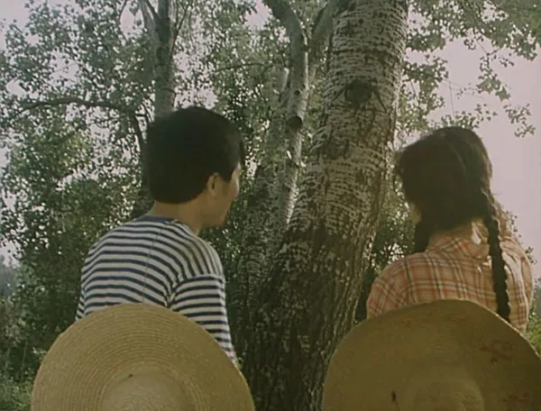 白杨树下 1983