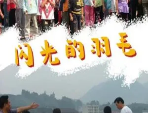 2008年中国大陆经典电影闪光的羽毛高清完整版