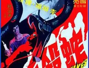 蛇杀手 1974 香港 国语中字 MKV-蓝海网