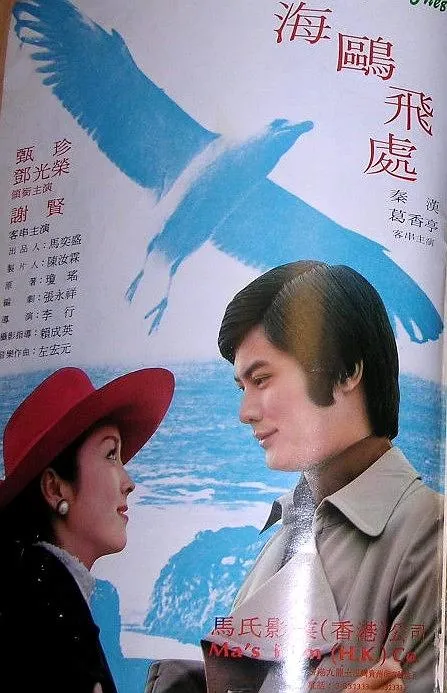 海鸥飞处