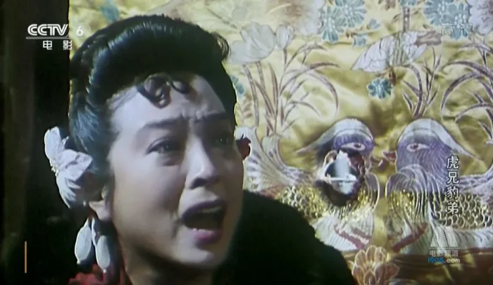 虎兄豹弟 1993