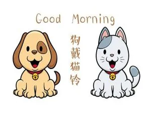 狗戴猫铃早教儿歌故事全集754集 MP3音频 宝宝启蒙必备Sight Word Kids 英语启蒙儿歌 257集全 MP3音频 幼儿早教必备