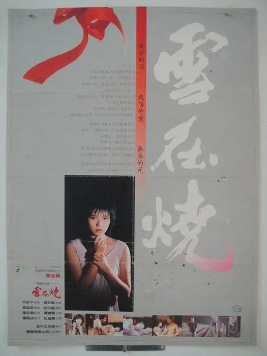MKV国语中字