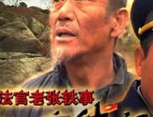 法官老张轶事之审牛记 2003 喜剧剧情 汉语普通话 全1集-蓝海网