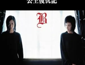 2004香港电影公主复仇记国语中字RMVB-蓝海网