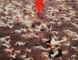1996香港经典动作电影 太极拳 功夫小子闯情关 国粤双语 高清国语中字-蓝海网