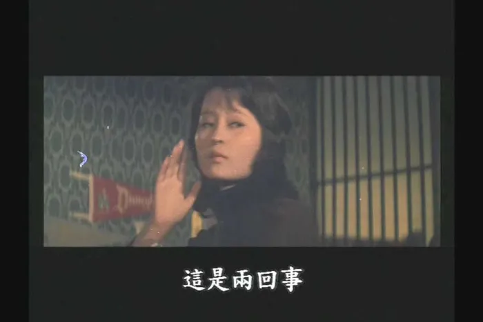 甄珍三重角色