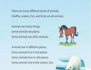 American Textbook Full Collection English Subtitles