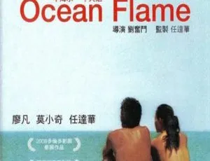 《一半海水一半火焰 2008 香港未删减版 国粤双语高清》-蓝海网