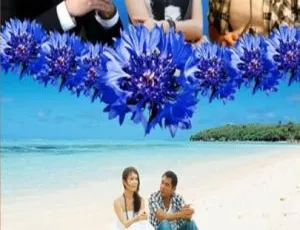 蓝色矢车菊 (2010) 中国大陆 国语中字-蓝海网