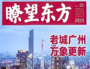 2020年瞭望东方周刊电子文档合集