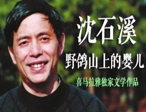 沈石溪经典儿童文学：野鸽山上的婴儿 44集全版-蓝海网
