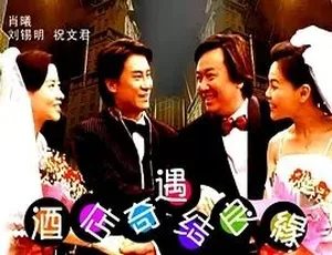 2004酒店奇遇结良缘经典爱情故事高清版-蓝海网
