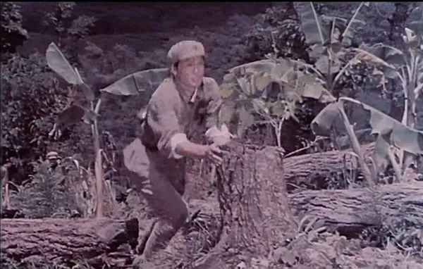 佤山剿匪斗争