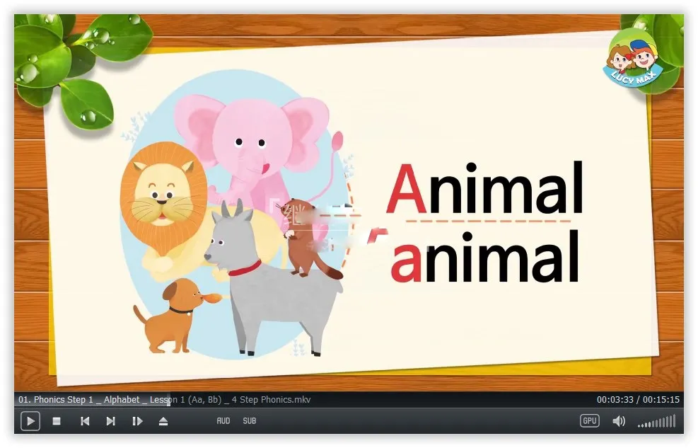 4 Step Phonics