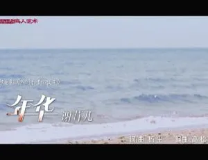 2010内地国语MV-谢容儿《年华》MPG高清版