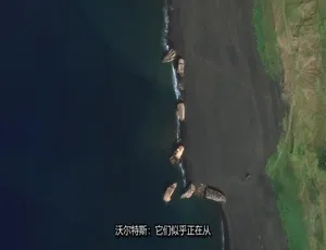 纪录片 到底是什么？What on Earth？ 第11季全10集 英语中字 1080P高清-蓝海网