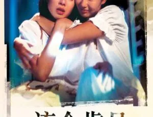 流金岁月 Last Romance (1988) 香港经典电影 国粤双语音轨 中文字幕 MKV格式 1.45GB-蓝海网