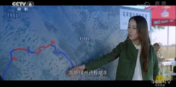 文化碰撞治愈