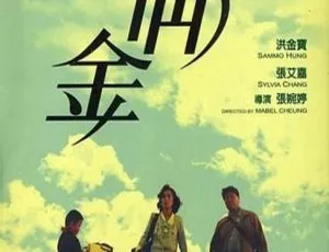 《八两金》1989香港洪金宝张艾嘉经典粤语国语中字高清-蓝海网