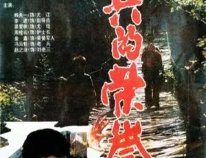 士兵的荣誉 1995年中国大陆经典电影-蓝海网
