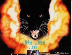 《黑豹天下 1994 香港动作片 国语中字 BD 1080i》拳皇 2011国语中字 中国大陆动作片高清版2017 中国 斗魂之熊孩子 国语中字 MP4 高清1080P1947中国大陆战争片 七天七夜 国语中字高清完整版