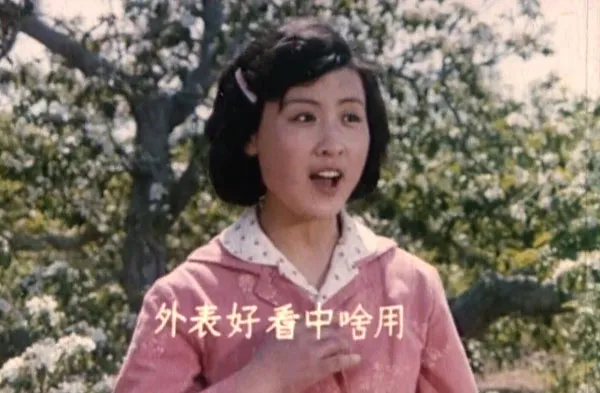 改革开放农村题材