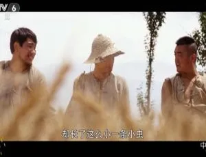 盲侠 2018 中国大陆 国语中字