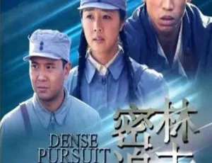 2011国产电影密林追击国语中字高清完整版-蓝海网
