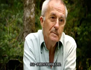 人体细胞战争纪录片：英语中字 1080P高清全1集