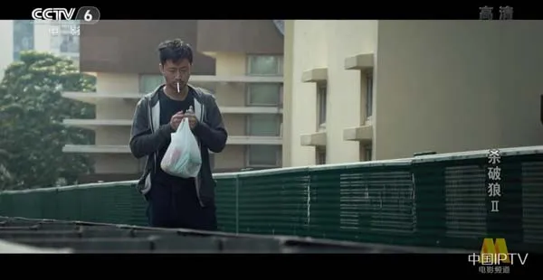 2015动作电影 杀破狼2