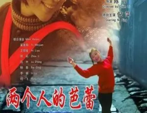 2005大陆经典影片两个人的芭蕾国语中字版-蓝海网