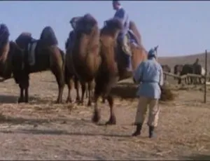1985国产经典动作片木棉袈裟国语中字高清修复版1947 中国大陆 七天七夜 国语中字