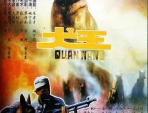 1993国产经典战争电影犬王 国语中字高清珍藏
