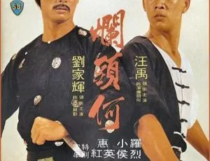 1979香港邵氏经典动作片 烂头何斗智斗力斗功夫 国粤双语-蓝海网