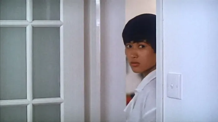 意大利恐怖电影 1991