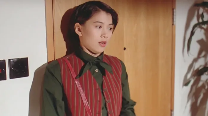 横纹刀劈扭纹柴 1995
